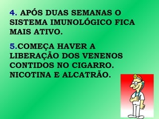 4. APÓS DUAS SEMANAS O
SISTEMA IMUNOLÓGICO FICA
MAIS ATIVO.
5.COMEÇA HAVER A
LIBERAÇÃO DOS VENENOS
CONTIDOS NO CIGARRO.
NICOTINA E ALCATRÃO.
 