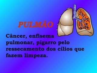 PULMÃO
Câncer, enfisema
pulmonar, pígarro pelo
ressecamento dos cílios que
fazem limpeza.
 