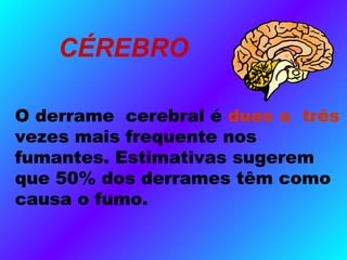 CÉREBRO
O derrame cerebral é duas a três
vezes mais frequente nos
fumantes. Estimativas sugerem
que 50% dos derrames têm como
causa o fumo.
 