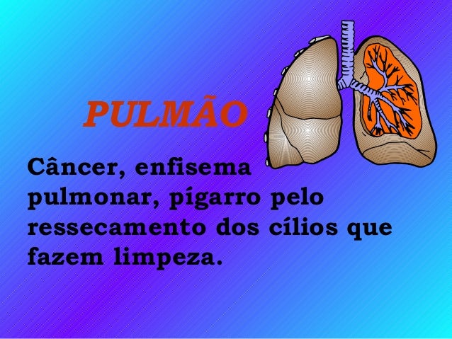 A verdade sobre champiks