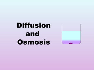 Diffusion and  Osmosis 