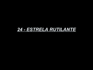 24 - ESTRELA RUTILANTE
 