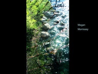 Megan Morrissey 