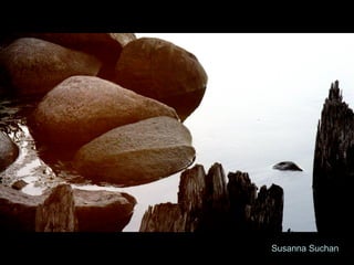 Susanna Suchan 