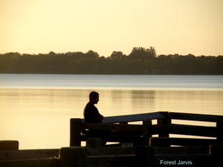 Forest Jarvis 