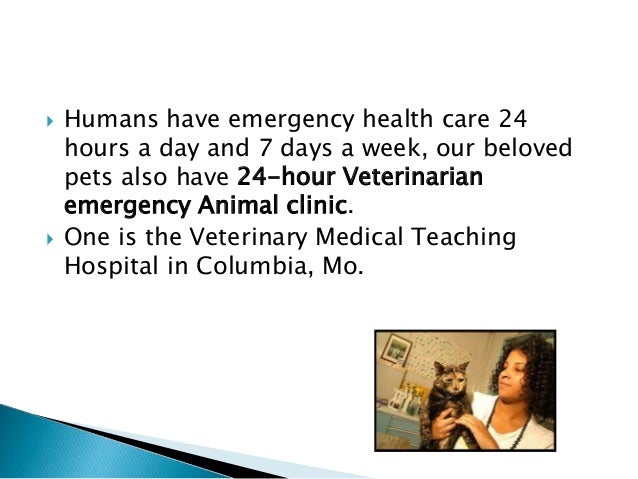 24 hour veterinarian
