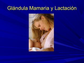 Glándula Mamaria y LactaciónGlándula Mamaria y Lactación
 