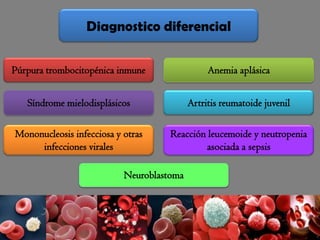 Diagnostico diferencial
Púrpura trombocitopénica inmune Anemia aplásica
Síndrome mielodisplásicos Artritis reumatoide juvenil
Mononucleosis infecciosa y otras
infecciones virales
Reacción leucemoide y neutropenia
asociada a sepsis
Neuroblastoma
 