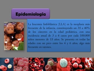 La leucemia linfoblástica (LLA) es la neoplasia más
frecuente de la infancia, constituyendo un 35 a 40%
de los cánceres en la edad pediátrica, con una
incidencia anual de 3 a 4 casos por cada 100.000
niños menores de 15 años. Se presenta en todas las
edades con un pico entre los 4 y 6 años, algo más
frecuente en varones.
Epidemiología
 