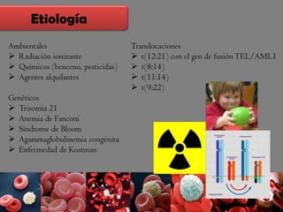 Etiología
Ambientales
 Radiación ionizante
 Químicos (benceno, pesticidas)
 Agentes alquilantes
Genéticos
 Trisomía 21
 Anemia de Fanconi
 Síndrome de Bloom
 Agammaglobulinemia congénita
 Enfermedad de Kostman
Translocaciones
 t(12:21) con el gen de fusión TEL/AML1
 t(8:14)
 t(11:14)
 t(9:22)
 