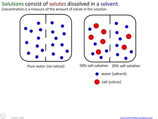 Stephen Taylor

http://sciencevideos.wordpress.com

 