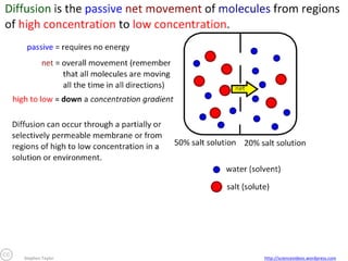 Stephen Taylor

http://sciencevideos.wordpress.com

 