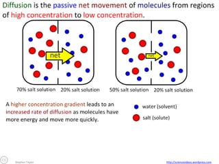 Stephen Taylor

http://sciencevideos.wordpress.com

 