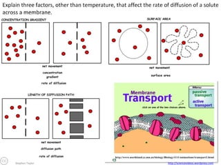 Stephen Taylor

http://sciencevideos.wordpress.com

 