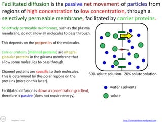 Stephen Taylor

http://sciencevideos.wordpress.com

 
