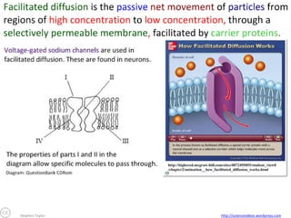 Stephen Taylor

http://sciencevideos.wordpress.com

 