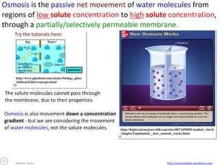 Stephen Taylor

http://sciencevideos.wordpress.com

 