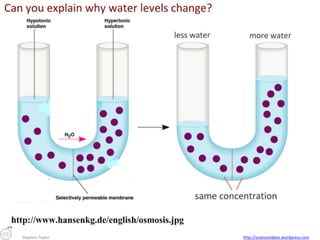 Stephen Taylor

http://sciencevideos.wordpress.com

 
