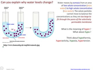 Stephen Taylor

http://sciencevideos.wordpress.com

 