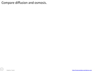 Stephen Taylor

http://sciencevideos.wordpress.com

 