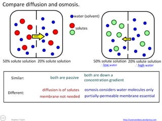 Stephen Taylor

http://sciencevideos.wordpress.com

 
