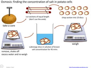 Stephen Taylor

http://sciencevideos.wordpress.com

 