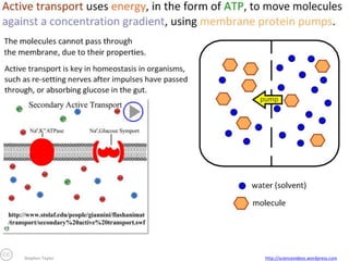 Stephen Taylor

http://sciencevideos.wordpress.com

 