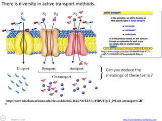 Active transport uses energy, in the form of
ATP, to move molecules across a selectively
permeable membrane against the
concentration gradient, using protein pumps.

Why do this?

Protein pumps

What happens?

Examples

 