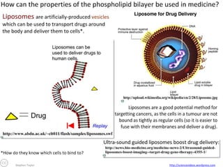 Annotate this diagram to explain vesicle transport & exocytosis.

Animated tutorial: http://bcs.whfreeman.com/thelifewire8e/content/cat_040/0504003.html

 