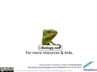 For more resources & links.
Please consider a donation to charity via Biology4Good.
Click here for more information about Biology4Good charity donations.
This is a Creative Commons presentation. It may be linked and embedded but not sold or re-hosted.

 