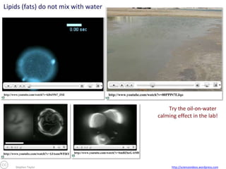 Stephen Taylor

http://sciencevideos.wordpress.com

 