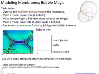 Stephen Taylor

http://sciencevideos.wordpress.com

 