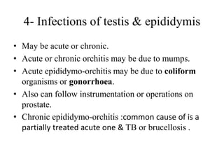 Testitis Scrotal Swelling and differential diagnosis | PPT