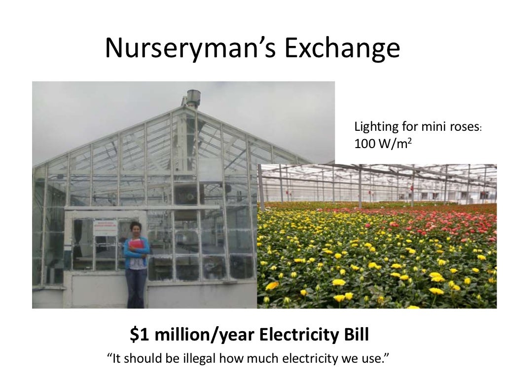 Nurseryman S Exchange Lighting For Mini
