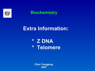 Extra Information: *  Z DNA *  Telomere Chen Yonggang 2007 Biochemistry  
