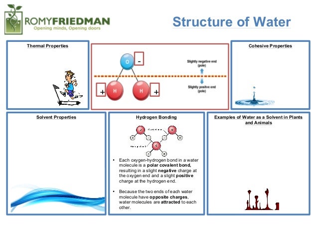 structure of water