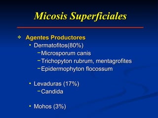 Micosis Superficiales Agentes Productores Dermatofitos(80%) Microsporum canis Trichopyton rubrum, mentagrofites Epidermophyton flocossum Levaduras (17%) Candida Mohos (3%) 