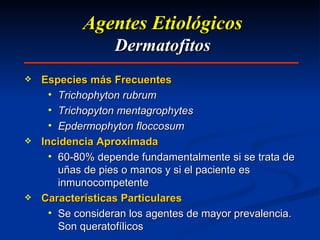 Agentes Etiológicos Dermatofitos Especies más Frecuentes Trichophyton rubrum Trichopyton mentagrophytes Epdermophyton floccosum Incidencia Aproximada 60-80% depende fundamentalmente si se trata de uñas de pies o manos y si el paciente es inmunocompetente Características Particulares Se consideran los agentes de mayor prevalencia.  Son queratofílicos 