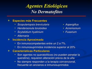 Agentes Etiológicos No Dermatofitos Especies más Frecuentes Scopulariopsis brevicularis •  Aspergillus Hendersonula toruloidea •   Acremonium Scytalidium hyalinium •   Fusarium Alternaria Incidencia Aproximada En inmunocompetentes entre un 2 a 7%. En inmunosuprimidos incidencia superior al 20% Características Particulares Son agentes no queratolíticos (no pueden penetar la queratina), requieren alteración previa de la uña No siempre responden a la terapia convencional, frecuente en ancianos e inmunosuprimidos 