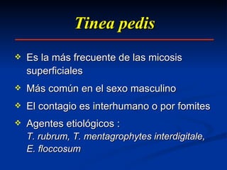 Tinea pedis Es la más frecuente de las micosis superficiales Más común en el sexo masculino El contagio es interhumano o por fomites Agentes etiológicos : T. rubrum, T. mentagrophytes interdigitale, E. floccosum 