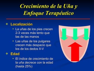 Crecimiento de la Uña y Enfoque Terapéutico Localización La uñas de los pies crecen 2-3 veces más lento que las de las manos Las uñas de los pulgares crecen más despacio que los de los dedos II-V Edad El índice de crecimiento de la uña decrece con la edad (hasta 25%) 