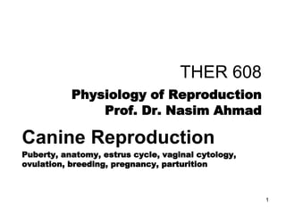 THER 608
Physiology of Reproduction
Prof. Dr. Nasim Ahmad
Canine Reproduction
Puberty, anatomy, estrus cycle, vaginal cytology,
ovulation, breeding, pregnancy, parturition
1
 