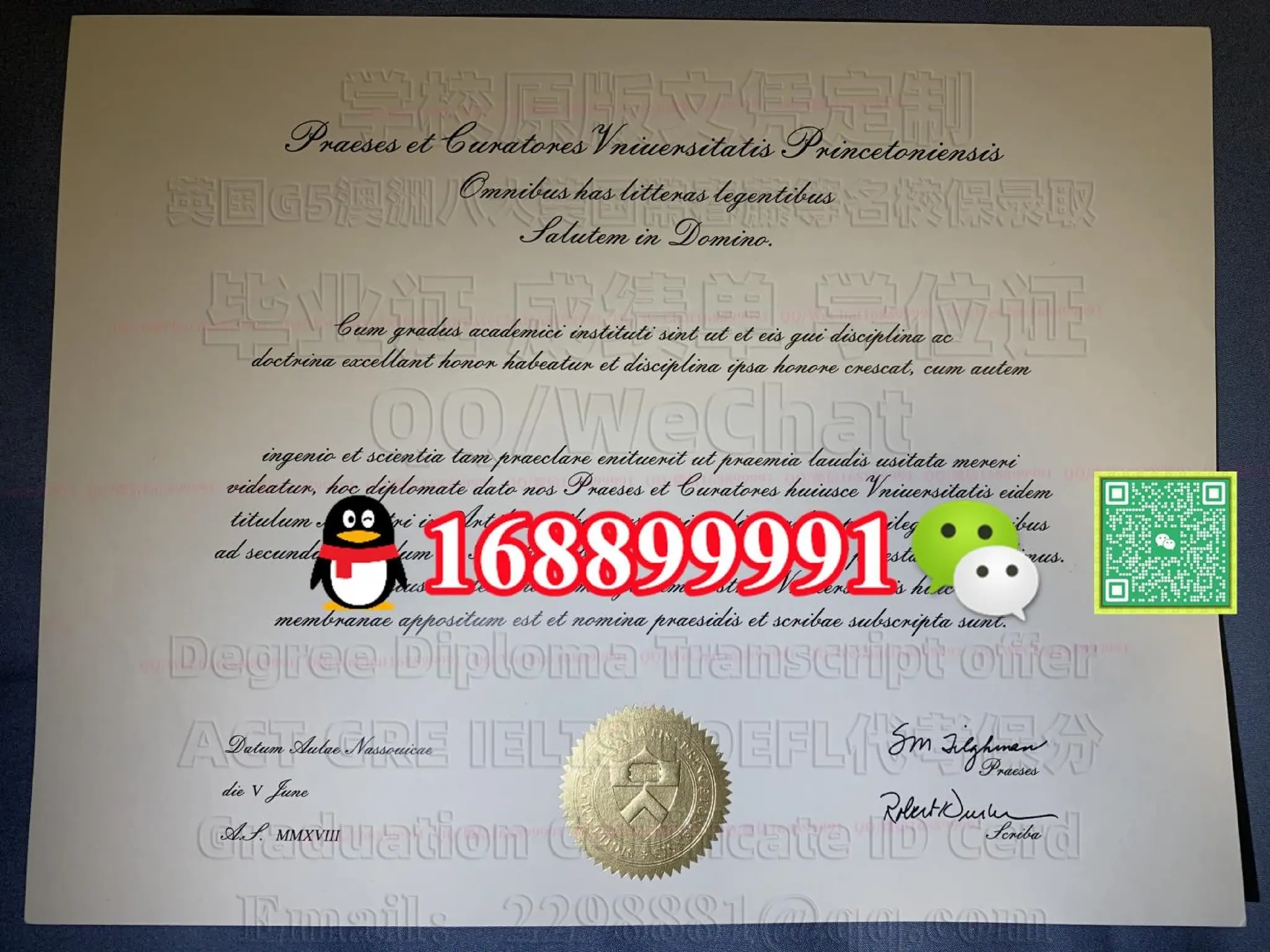 Princeton University degree offer diploma Transcript | PDF