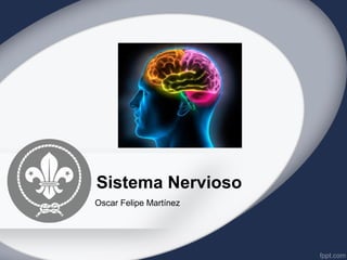 Sistema Nervioso
Oscar Felipe Martínez
Fac. Odontología
 