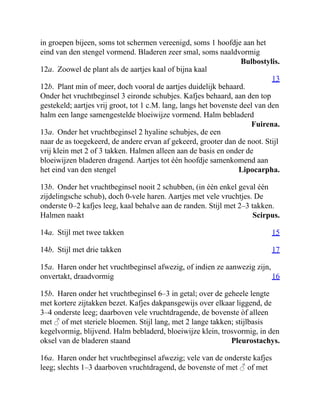 Bulbostylis.
13
Fuirena.
Lipocarpha.
Scirpus.
15
17
16
Pleurostachys.
in groepen bijeen, soms tot schermen vereenigd, soms 1 hoofdje aan het
eind van den stengel vormend. Bladeren zeer smal, soms naaldvormig
12a. Zoowel de plant als de aartjes kaal of bijna kaal
12b. Plant min of meer, doch vooral de aartjes duidelijk behaard.
Onder het vruchtbeginsel 3 eironde schubjes. Kafjes behaard, aan den top
gestekeld; aartjes vrij groot, tot 1 c.M. lang, langs het bovenste deel van den
halm een lange samengestelde bloeiwijze vormend. Halm bebladerd
13a. Onder het vruchtbeginsel 2 hyaline schubjes, de een
naar de as toegekeerd, de andere ervan af gekeerd, grooter dan de noot. Stijl
vrij klein met 2 of 3 takken. Halmen alleen aan de basis en onder de
bloeiwijzen bladeren dragend. Aartjes tot één hoofdje samenkomend aan
het eind van den stengel
13b. Onder het vruchtbeginsel nooit 2 schubben, (in één enkel geval één
zijdelingsche schub), doch 0-vele haren. Aartjes met vele vruchtjes. De
onderste 0–2 kafjes leeg, kaal behalve aan de randen. Stijl met 2–3 takken.
Halmen naakt
14a. Stijl met twee takken
14b. Stijl met drie takken
15a. Haren onder het vruchtbeginsel afwezig, of indien ze aanwezig zijn,
onvertakt, draadvormig
15b. Haren onder het vruchtbeginsel 6–3 in getal; over de geheele lengte
met kortere zijtakken bezet. Kafjes dakpansgewijs over elkaar liggend, de
3–4 onderste leeg; daarboven vele vruchtdragende, de bovenste òf alleen
met ♂ of met steriele bloemen. Stijl lang, met 2 lange takken; stijlbasis
kegelvormig, blijvend. Halm bebladerd, bloeiwijze klein, trosvormig, in den
oksel van de bladeren staand
16a. Haren onder het vruchtbeginsel afwezig; vele van de onderste kafjes
leeg; slechts 1–3 daarboven vruchtdragend, de bovenste of met ♂ of met
 