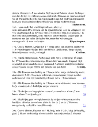 Dichromena.
Rhynchospora.
Cladium.
Remiria.
24
19
20
21
steriele bloemen; 3–2 meeldraden. Stijl lang met 2 dunne takken die langer
zijn dan de stijl zelf. Kleine planten met smalle bladeren en maar één meest
wit of bruinachtig hoofdje van weinig aartjes aan het eind van den naakten
halm, die alleen direct onder de bloeiwijze eenige bladeren draagt
16b. Haren onder het vruchtbeginsel soms afwezig,
soms aanwezig. Drie tot vele van de onderste kafjes leeg, de volgende 1 tot
vele vruchtdragend, de bovenste met ♂ bloemen of leeg. Meeldraden 3–2;
stijl soms als Dichromena, soms met veel kortere takken. Bloeiwijzen òf
meerdere aan den halm, òf slechts één, maar dan bolvormig en
samengesteld uit zeer veel aartjes
17a. Groote planten. Aartjes met 2–4 leege kafjes van onderen, daarboven
1–4 vruchtdragende kafjes. Stijl aan de basis verdikt met 3 lange takken.
Bloeiwijze sterk vertakt, verlengd
17b. Kleine strandplanten. Aartjes zeer kort, met 3 leege kafjes en alleen
het 4de
bovenste een tweeslachtige bloem, later een vrucht dragend. Stijl
geleidelijk in het vruchtbeginsel overgaand. Aartjes in korte trosjes staand;
eenige van die trosjes zittend aan het eind van den halm
18a. Alle bloemen eenslachtig; de ♀ bloem in het aartje eindstandig, naakt;
daaromheen 2–10 ♂ bloemen, ieder met één meeldraad, zoodat men het
aartje aanziet voor een tweeslachtige bloem met 2–10 meeldraden
18b. Alle bloemen éénslachtig, de ♀ bloem meest niet naakt, maar van een
kafje voorzien; de ♂ duidelijke aartjes vormend
19a. Bloeiwijze een lange pluim vormend; van onderen alleen ♂, van
boven alleen ♀ aartjes dragend
19b. Bloeiwijze geen losse pluim maar de aartjes verbonden tot dichte
hoofdjes, of indien er een losse pluim is, dan de ♀ en de ♂ bloemen
onregelmatig verdeeld in hetzelfde aartje
20a. Groote planten, bladeren tot 1 M. lang, halm 1–2 M. lang, driehoekig,
glad. ♀ bloem eindstandig, alleenstaand in het aartje zonder ♂ bloemen
 