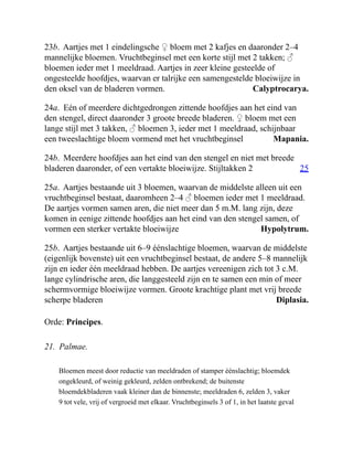Calyptrocarya.
Mapania.
25
Hypolytrum.
Diplasia.
23b. Aartjes met 1 eindelingsche ♀ bloem met 2 kafjes en daaronder 2–4
mannelijke bloemen. Vruchtbeginsel met een korte stijl met 2 takken; ♂
bloemen ieder met 1 meeldraad. Aartjes in zeer kleine gesteelde of
ongesteelde hoofdjes, waarvan er talrijke een samengestelde bloeiwijze in
den oksel van de bladeren vormen.
24a. Eén of meerdere dichtgedrongen zittende hoofdjes aan het eind van
den stengel, direct daaronder 3 groote breede bladeren. ♀ bloem met een
lange stijl met 3 takken, ♂ bloemen 3, ieder met 1 meeldraad, schijnbaar
een tweeslachtige bloem vormend met het vruchtbeginsel
24b. Meerdere hoofdjes aan het eind van den stengel en niet met breede
bladeren daaronder, of een vertakte bloeiwijze. Stijltakken 2
25a. Aartjes bestaande uit 3 bloemen, waarvan de middelste alleen uit een
vruchtbeginsel bestaat, daaromheen 2–4 ♂ bloemen ieder met 1 meeldraad.
De aartjes vormen samen aren, die niet meer dan 5 m.M. lang zijn, deze
komen in eenige zittende hoofdjes aan het eind van den stengel samen, of
vormen een sterker vertakte bloeiwijze
25b. Aartjes bestaande uit 6–9 éénslachtige bloemen, waarvan de middelste
(eigenlijk bovenste) uit een vruchtbeginsel bestaat, de andere 5–8 mannelijk
zijn en ieder één meeldraad hebben. De aartjes vereenigen zich tot 3 c.M.
lange cylindrische aren, die langgesteeld zijn en te samen een min of meer
schermvormige bloeiwijze vormen. Groote krachtige plant met vrij breede
scherpe bladeren
Orde: Principes.
21. Palmae.
Bloemen meest door reductie van meeldraden of stamper éénslachtig; bloemdek
ongekleurd, of weinig gekleurd, zelden ontbrekend; de buitenste
bloemdekbladeren vaak kleiner dan de binnenste; meeldraden 6, zelden 3, vaker
9 tot vele, vrij of vergroeid met elkaar. Vruchtbeginsels 3 of 1, in het laatste geval
 