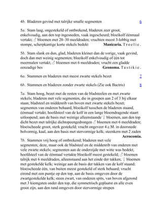 6
Manicaria. T r o e l i e .
Geonoma. Ta s t i k i e .
7
8
Acrocomia.
4b. Bladeren gevind met talrijke smalle segmenten
5a. Stam laag, ongestekeld of ontbrekend, bladeren zeer groot,
enkelvoudig, aan den top ingesneden, vaak ingescheurd; bloeikolf éénmaal
vertakt; ♂ bloemen met 20–30 meeldraden; vruchten meest 3-lobbig met
stompe, scherpkantige korte stekels bedekt
5b. Stam slank en dun, glad, bladeren kleiner dan de vorige, vaak gevind,
doch dan met weinig segmenten; bloeikolf enkelvoudig of één tot
meermalen vertakt; ♂ bloemen met 6 meeldraden; vrucht een gladde
eenzadige bes
6a. Stammen en bladeren met meest zwarte stekels bezet
6b. Stammen en bladeren zonder zwarte stekels (Zie ook Bactris)
7a. Stam hoog, bezet met de resten van de bladsteelen en met zwarte
stekels; bladeren met vele segmenten, die in groepen aan 2 of 3 bij elkaar
staan; bladsteel en middenrib van boven met zwarte stekels bezet;
segmenten van onderen behaard; bloeikolf tusschen de bladeren staand,
éénmaal vertakt; hoofdsteel van de kolf in een lange bloemdragende staart
uitloopend; aan de basis met weinige alleenstaande ♀ bloemen, aan den top
dicht bezet met talrijke dichtopeengedrongen ♂ bloemen met 6 meeldraden;
bloeischeede groot, sterk gestekeld; vrucht ongeveer 4 c.M. in doorsnede
bolvormig, kaal, aan den basis met stervormige kelk; steenkern met 2 zaden
7b. Stammen vrij hoog of ontbrekend; bladeren met vele
segmenten; deze, maar ook de bladsteel en de middenrib van onderen met
vele zwarte stekels; segmenten aan de onderzijde met witte was bedekt;
hoofdsteel van de éénmaal vertakte bloeikolf meest gestekeld; ♂ bloemen
talrijk met 6 meeldraden, alleenstaand aan het einde der takken; ♀ bloemen
met gestekelde kelk; weinige aan de basis der takken van de kolf staand;
bloeischeede één, van buiten meest gestekeld of sterk behaard; vrucht
eirond met een puntje op den top, aan de basis omgeven door de
zwartgestekelde kelk; steen zwart, van onderen spits, van boven afgerond
met 3 kiemgaten onder den top, die symmetrisch geplaatst en alle even
groot zijn, aan den rand omgeven door stervormige strepen
 