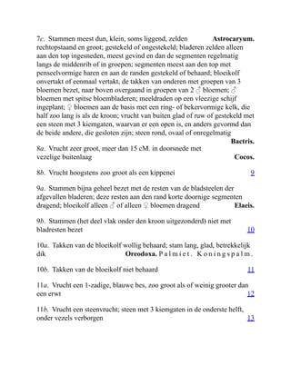 Astrocaryum.
Bactris.
Cocos.
9
Elaeis.
10
Oreodoxa. P a l m i e t . K o n i n g s p a l m .
11
12
13
7c. Stammen meest dun, klein, soms liggend, zelden
rechtopstaand en groot; gestekeld of ongestekeld; bladeren zelden alleen
aan den top ingesneden, meest gevind en dan de segmenten regelmatig
langs de middenrib of in groepen; segmenten meest aan den top met
penseelvormige haren en aan de randen gestekeld of behaard; bloeikolf
onvertakt of eenmaal vertakt, de takken van onderen met groepen van 3
bloemen bezet, naar boven overgaand in groepen van 2 ♂ bloemen; ♂
bloemen met spitse bloembladeren; meeldraden op een vleezige schijf
ingeplant; ♀ bloemen aan de basis met een ring- of bekervormige kelk, die
half zoo lang is als de kroon; vrucht van buiten glad of ruw of gestekeld met
een steen met 3 kiemgaten, waarvan er een open is, en anders gevormd dan
de beide andere, die gesloten zijn; steen rond, ovaal of onregelmatig
8a. Vrucht zeer groot, meer dan 15 cM. in doorsnede met
vezelige buitenlaag
8b. Vrucht hoogstens zoo groot als een kippenei
9a. Stammen bijna geheel bezet met de resten van de bladsteelen der
afgevallen bladeren; deze resten aan den rand korte doornige segmenten
dragend; bloeikolf alleen ♂ of alleen ♀ bloemen dragend
9b. Stammen (het deel vlak onder den kroon uitgezonderd) niet met
bladresten bezet
10a. Takken van de bloeikolf wollig behaard; stam lang, glad, betrekkelijk
dik
10b. Takken van de bloeikolf niet behaard
11a. Vrucht een 1-zadige, blauwe bes, zoo groot als of weinig grooter dan
een erwt
11b. Vrucht een steenvrucht; steen met 3 kiemgaten in de onderste helft,
onder vezels verborgen
 