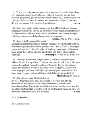 Areca.
Euterpe. P i n a . P a l i s a d e .
Oenocarpus. K o m b o e . P a t a w a .
Maximiliana. M a r i p a .
Cocos.
11c. Vrucht een vrij groote oranje-roode bes met sterk-vezelige buitenlaag
en 1 zaad, dat op doorsnede vele groeven heeft; stammen lang en dun,
bladeren gelijkmatig gevind; kolf tweemaal vertakt; de ♀ bloemen naar één
zijde gericht aan de basis der takken, die aan den top talrijke ♂ bloemen
dragen; meeldraden 3–6; stempels 3, gescheiden
12a. Stam lang, slank; bladsegmenten van de middenrib af naar beneden
hangend; bloeikolf vrij ver van de bladerkroon verwijderd; kelkbladeren der
♂ bloemen breed, elkaar met de randen bedekkend; rest van den stempel
zijdelings, ongeveer ter halver hoogte van de bes gezeten
12b. Stam vrij dik ten opzichte van de
lengte; bladsegmenten niet naar beneden hangend; bloeikolf dicht onder de
bladerkroon gezeten; bloemen in groepen van 3, met 2 ♂ en 1 ♀ bloem per
groep, kelk aan de ♂ bloem 3-deelig of 3-spletig, randen der kelkbladeren
tegen elkaar liggend; stempelrest aan den top van de bes of nauwelijks
zijdelings
13a. Sommige bloeikolven dragen alleen ♂ bloemen; andere hebben
takken, die aan den top alleen ♂, naar de basis van den tak ♂ en ♀ bloemen
gemengd en geheel van onderen alleen ♀ bloemen dragen; meeldraden
langer dan de smalle bloemdekbladeren; vrucht langgerekt, aan den top
sterk toegespitst, met een duidelijk kegelvormige punt; bloemdek na den
bloei sterk vergroot en de vrucht bijna tot de halve hoogte omhullend
13b. Alle takken van de bloeikolf dragen
groote ♀ bloemen aan de basis en kleinere ♂ bloemen aan den top;
bloemdek uit zeer breede, harde bladeren bestaande, waardoor de
bloemknop scherp 3-hoekig is; vrucht eirond tot bolvormig, meest aan den
top afgerond; bloemdek klein, blijvend, na den bloei alleen aan de basis van
de vrucht zichtbaar en deze niet inhullend
Orde: Synanthae.
22. Cyclanthaceae.
 